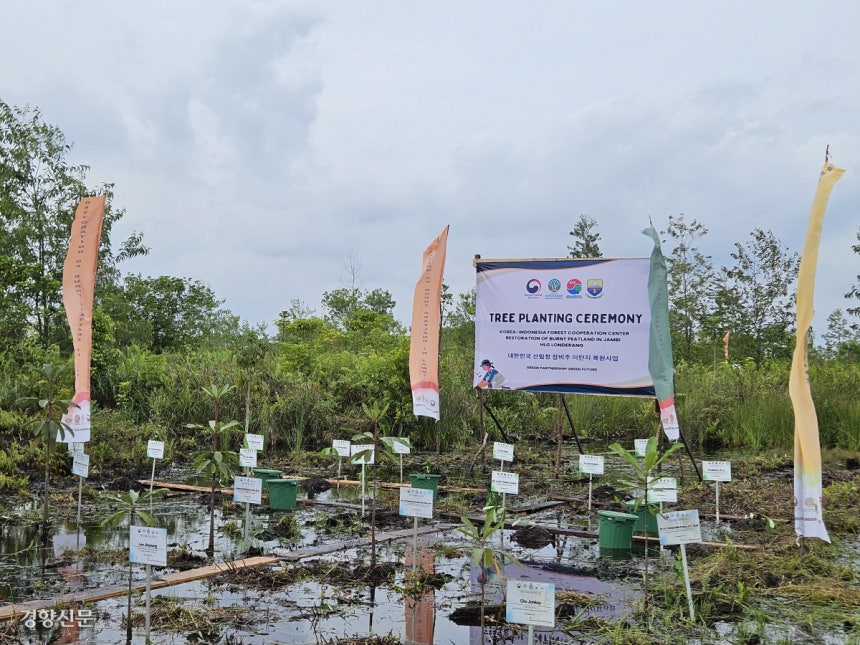 인도네시아 잠비주 론드랑 이탄지보호림 내에 한·인니 정부의 협력 복원 사업을 기념하는 나무들이 심어져 있다.이종섭 기자