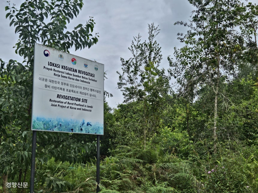 인도네시아 잠비주 론드랑 이탄지보호림 내에 한·인니 정부간 협력으로 진행된 이탄지 복원 사업을 알리는 안내판이 설치돼 있다.이종섭 기자