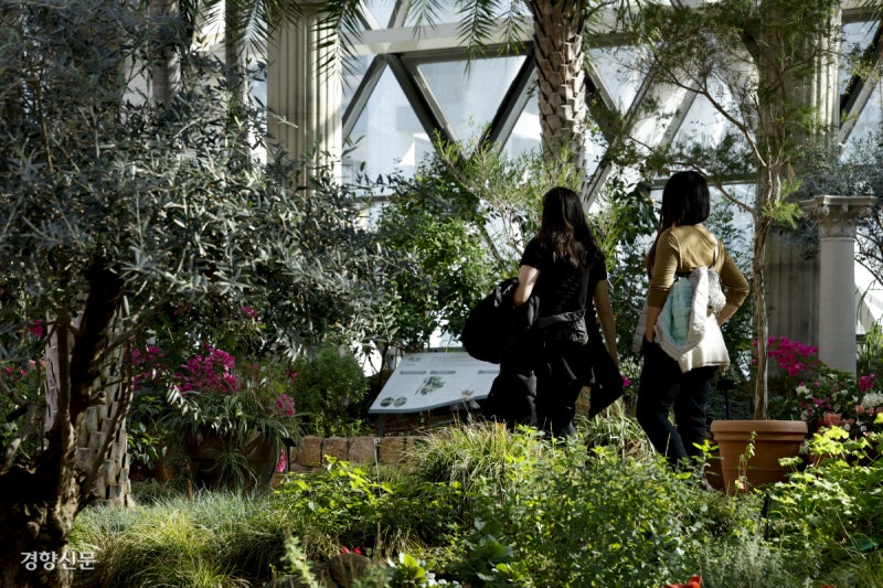 밖은 한파…서울식물원 안엔 봄[포토뉴스]