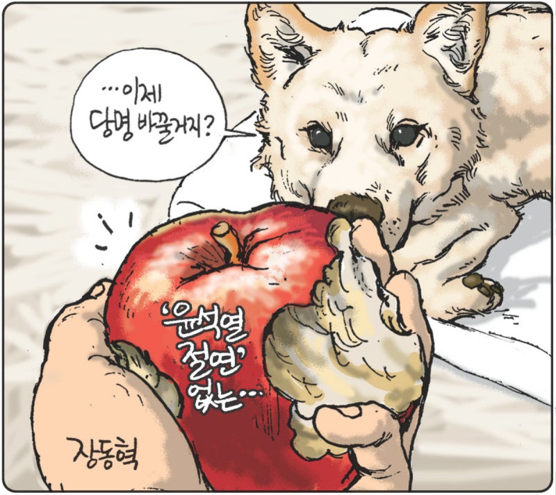 2026년 01월 08일[김용민의 그림마당]