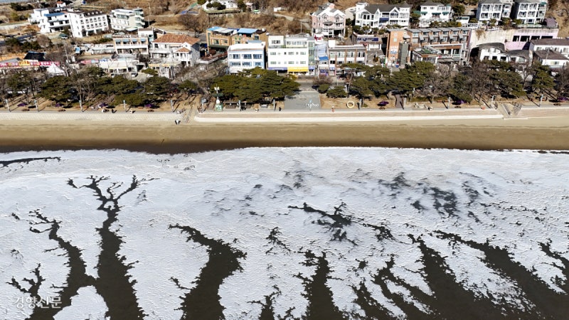 바다도 얼린 동장군의 기세[포토뉴스]