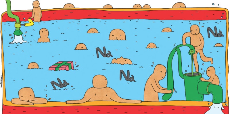 [하리하라의 사이언스 인사이드]왜 우리는 받은 만큼 주는 걸 아까워할까