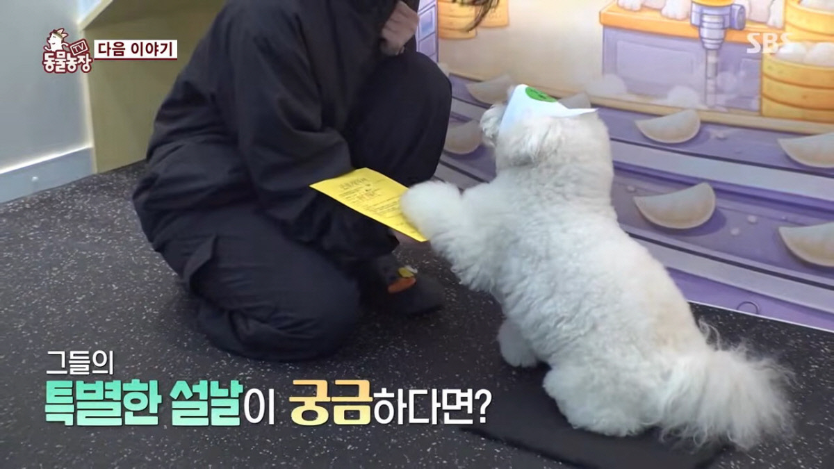 2026년 02월 13일[설특집 TV 하이라이트]