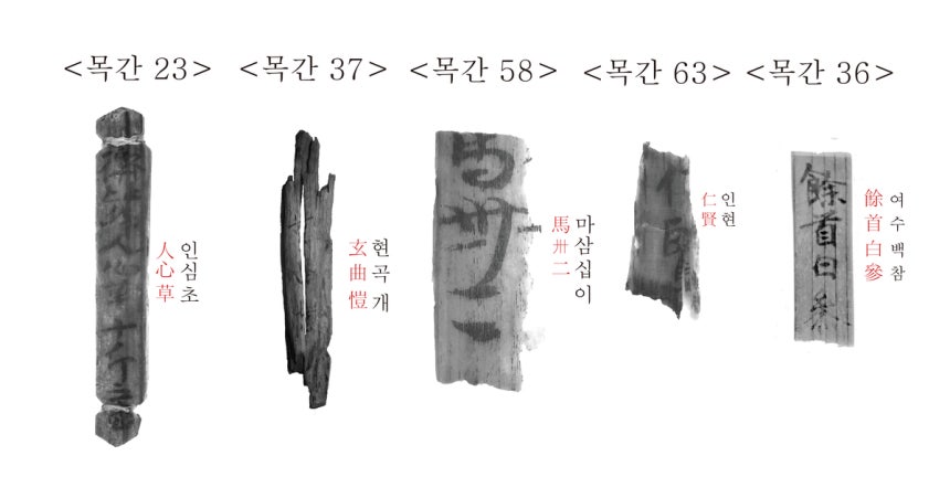 다양한 분야의 지식과 관련된 내용의 목간.국가유산청 제공