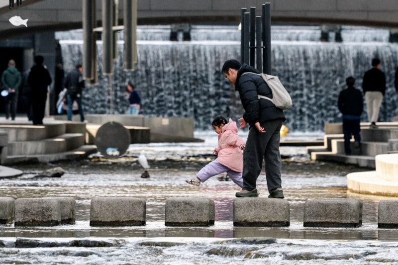 ‘아장’과 ‘성큼’ 사이  한 뼘 가까워진 봄[금주의 B컷]