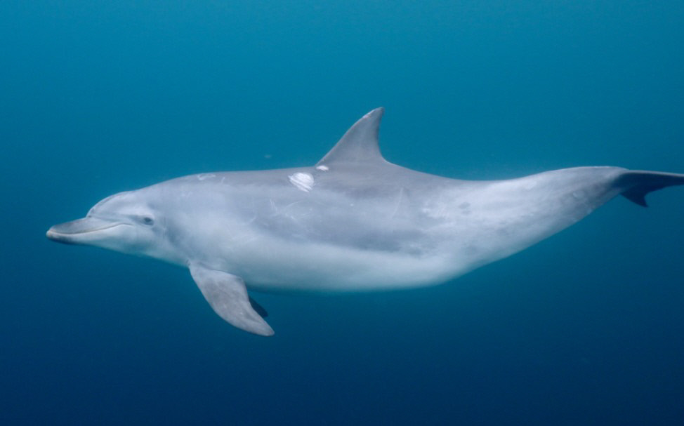 2026년 03월 19일[TV 하이라이트]