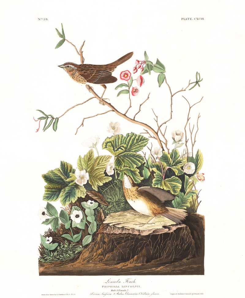 거짓말쟁이면 어떠랴, 그가 보여준 ‘새’ 세상[책과 삶]