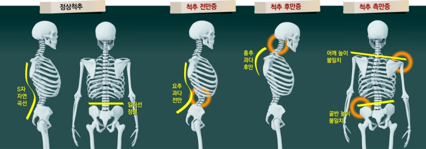 그래픽 | 성덕환 선임기자 