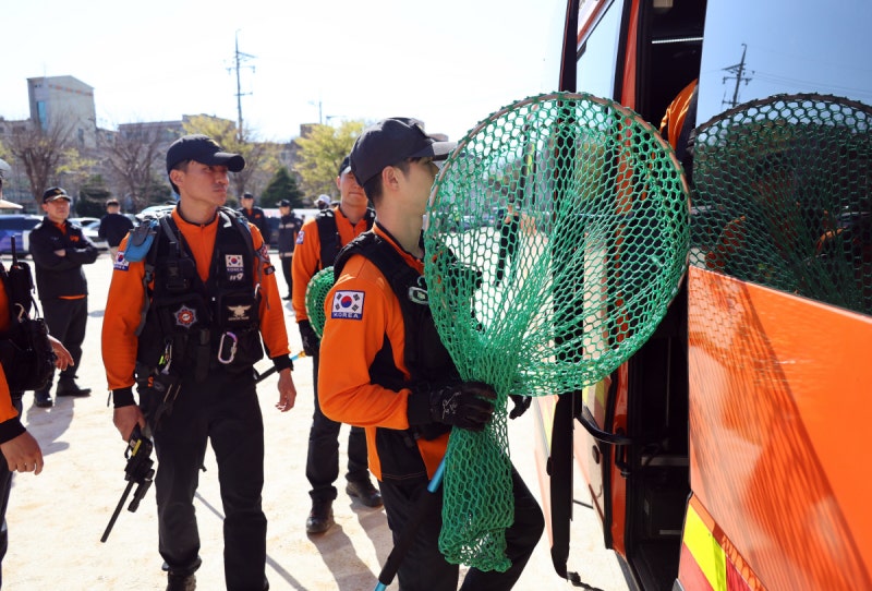 “늑대가 탈출했다”…깜짝 놀란 대전, 외출 꺼린 채 조마조마