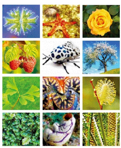 이들의 지능을 인간의 잣대로 재지 말라[책과 삶]