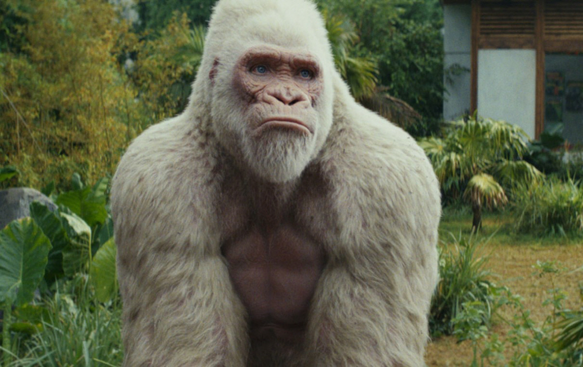 2026년 04월 21일[케이블·위성 하이라이트]