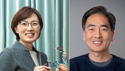 김빛내리·김정상 교수 ‘과학기술 창조장’ 수상