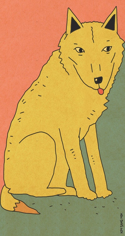 [이갑수의 일생의 일상]야성이 부르는 소리 앞에서 멈춘 늑구