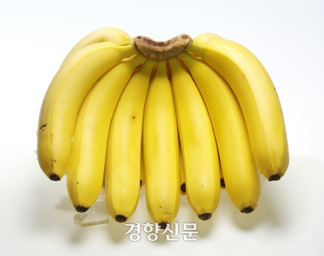 바나나 이미지.경향신문 자료사진