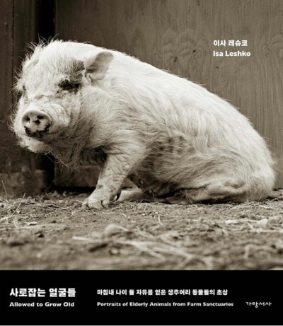 우리가 빼앗은 얼굴들을 들여다보며[송섬별의 가장자리 독서]