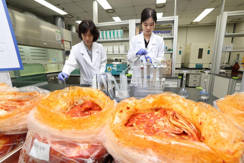 중국산 ‘<b>포름알데히드 배추</b>’ 우려에···서울시, 배추·김치 검사 결...