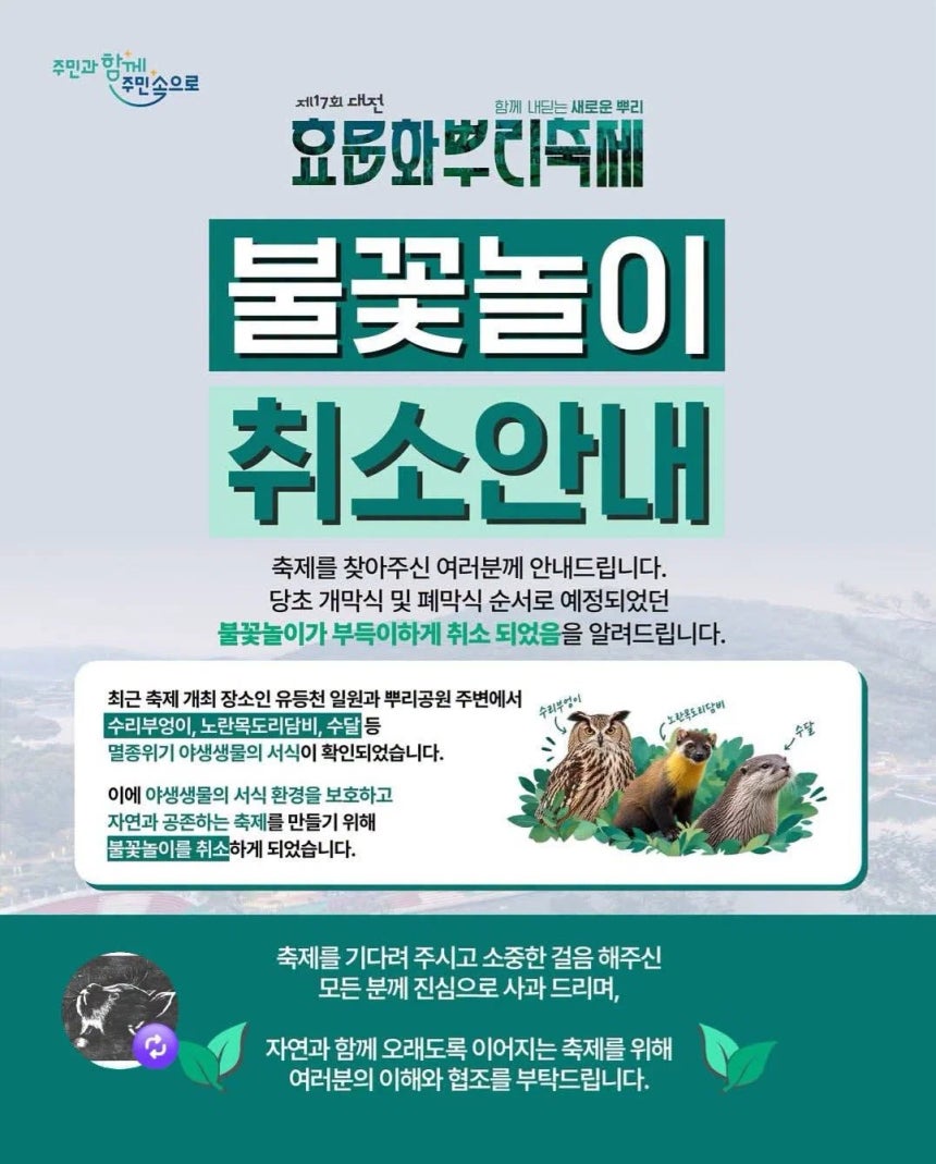 대전 중구 불꽃놀이 취소 공지.대전 중구 홈페이지