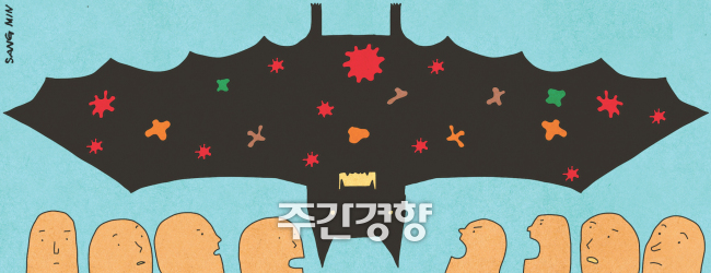 물린 자국도 없는데···박쥐 접촉한 캐나다 11세 소년 광견병 사망