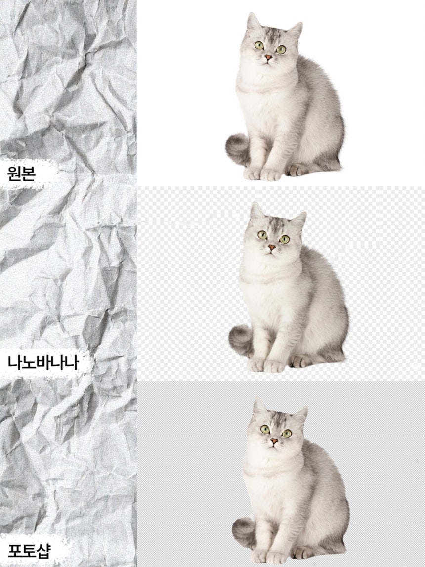 오목눈이 - 토토싸이트