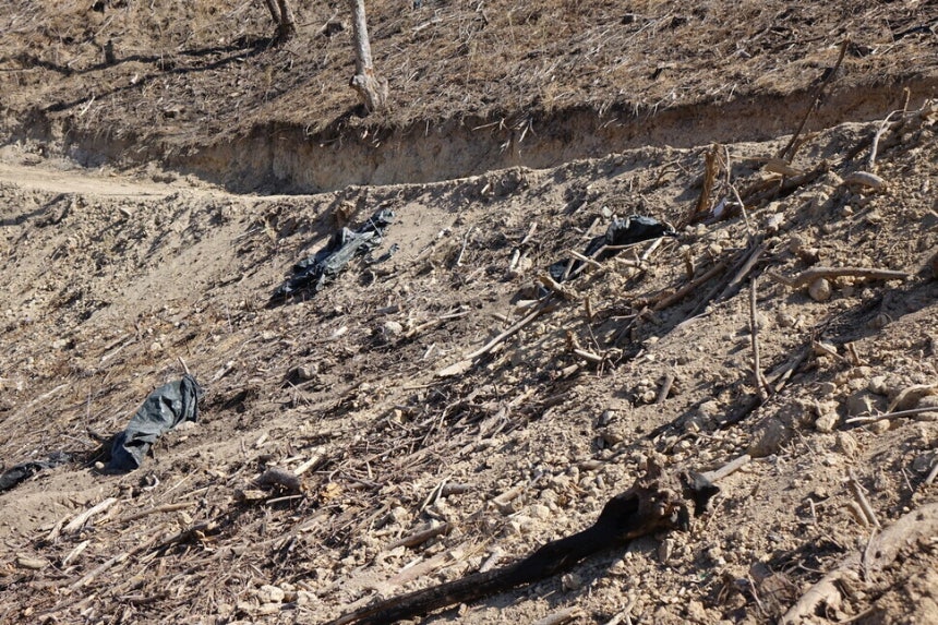 2025년 2월28일 경남 밀양 춘복산의 모습. 이곳에선 2년9개월 전인 2022년 5월 산불이 난 뒤 막대한 돈과 인력이 투입돼 재개발식 벌채와 조림이 이뤄졌다. 조림한 묘목은 