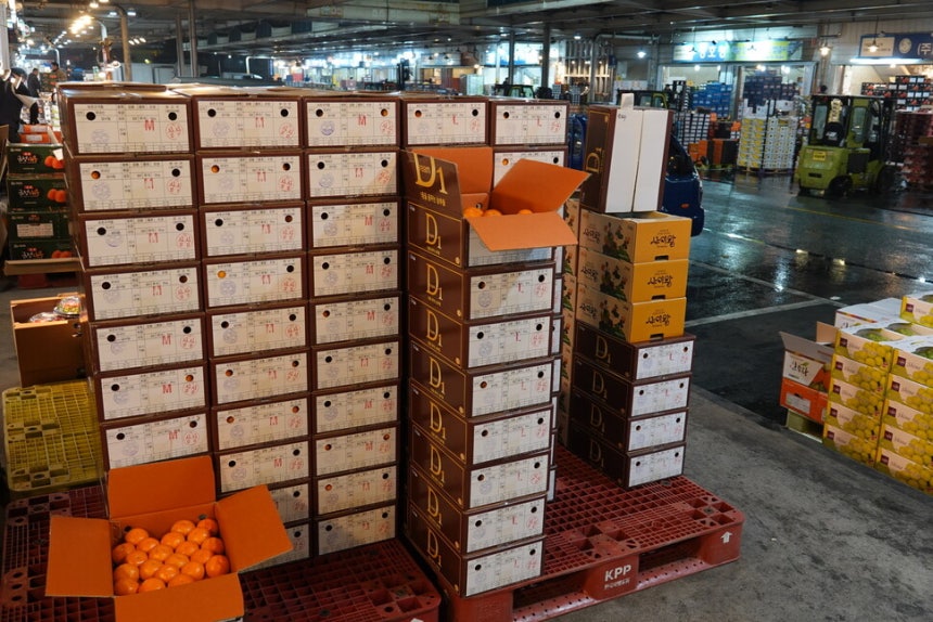 2025년 12월11일 서울 강서구 외발산동 강서농산물도매시장에 전날 귤향기마을영농조합에서 보낸 감귤 상자들이 놓여 있다.