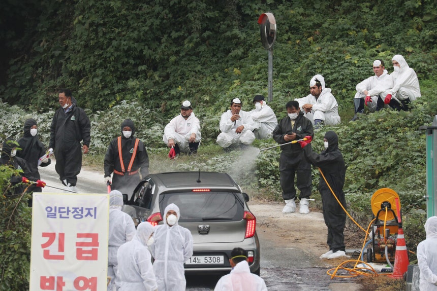 아프리카돼지열병이 발생한 접경지의 농장에서 이주노동자들이 도살처분 작업 중 잠시 쉬고 있다.(2019년 10월)