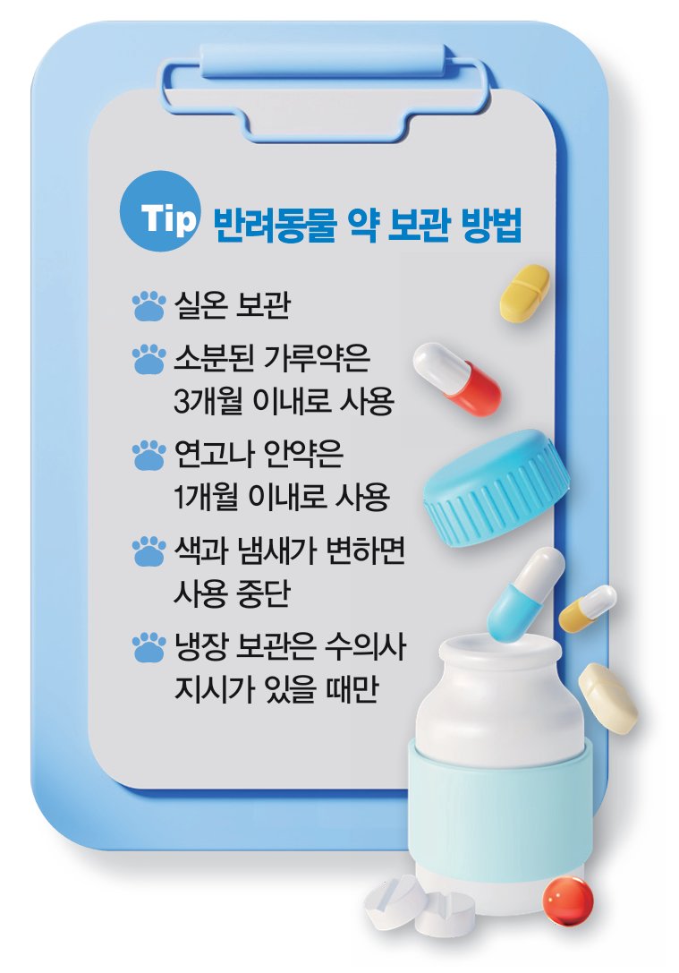 비트코인 무료 카지노 의 주의사항: 피해야 할 실수와 해결책 - 장단점 비교 분석