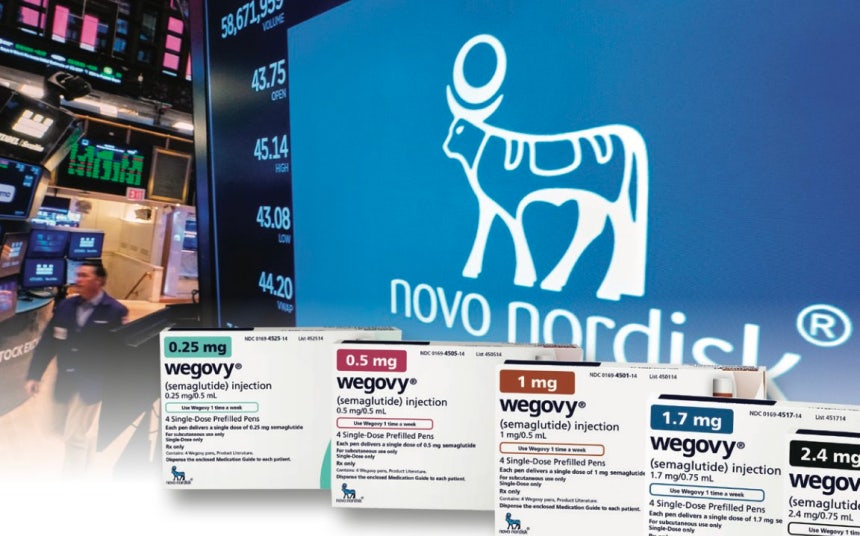 노보노디스크 주가는‘위고비 필’이 미국 식품의약국(FDA) 승인을 받은 다음 날인 지난해 12월 23일(현지 시간) 7% 급등했다.뉴시스