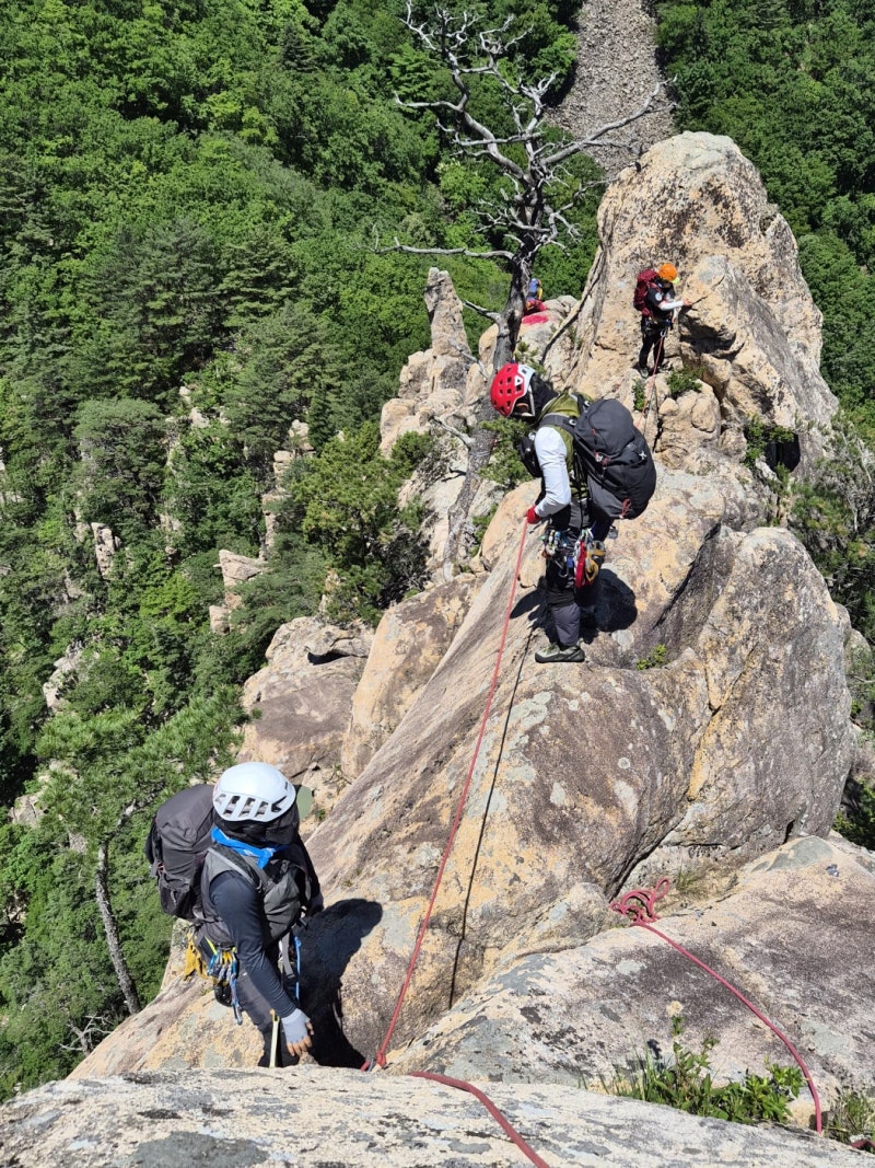 Australian hiker rescued in series of Seoraksan accidents