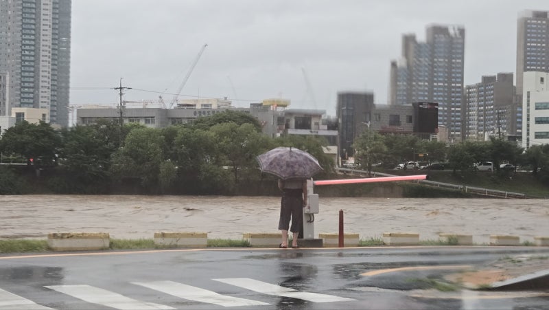 Heavy rain leaves trail of damage in Chungcheong, North Jeolla