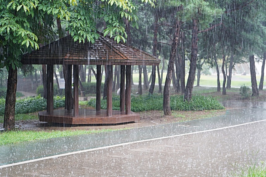 사주 의향 상충으로 진로갈등 상담