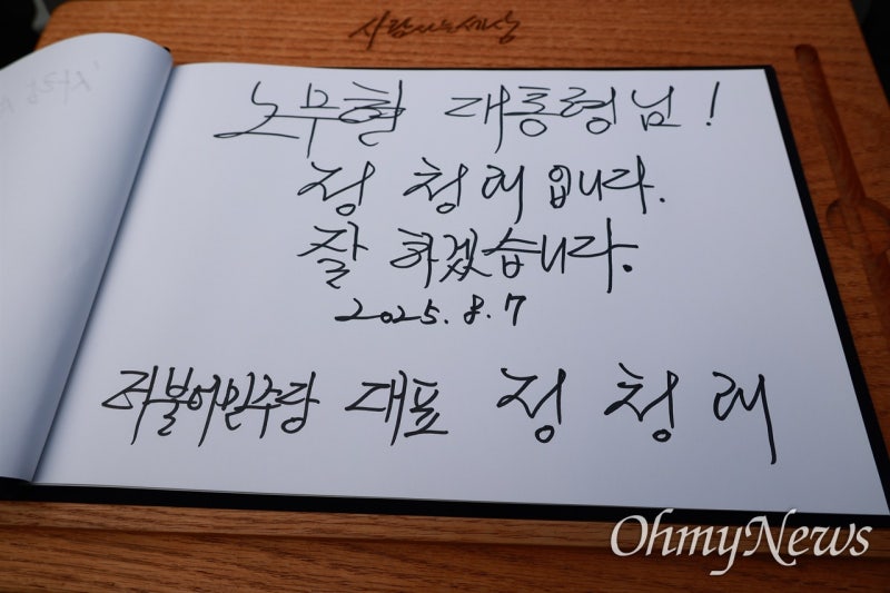 노무현 <b>대통령</b> 묘소 참배한 <b>정청래 대표</b> "잘 하겠습니다"