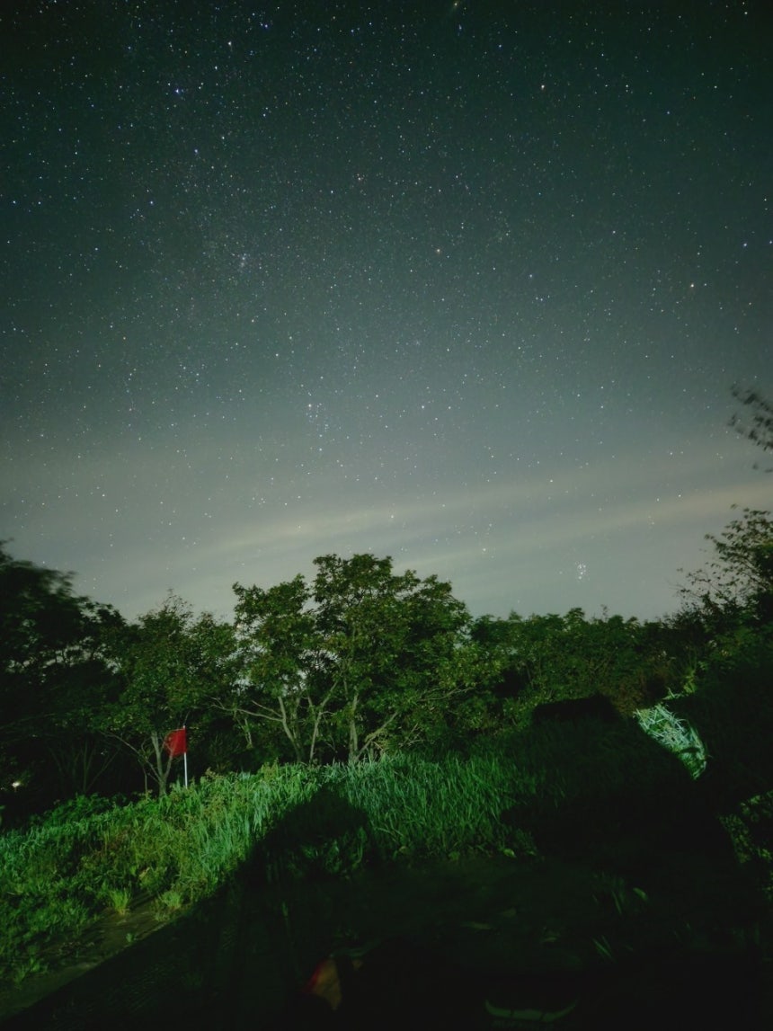 m7 카지노 주소 고객 서비스를 위한 리더십 최선의 실천