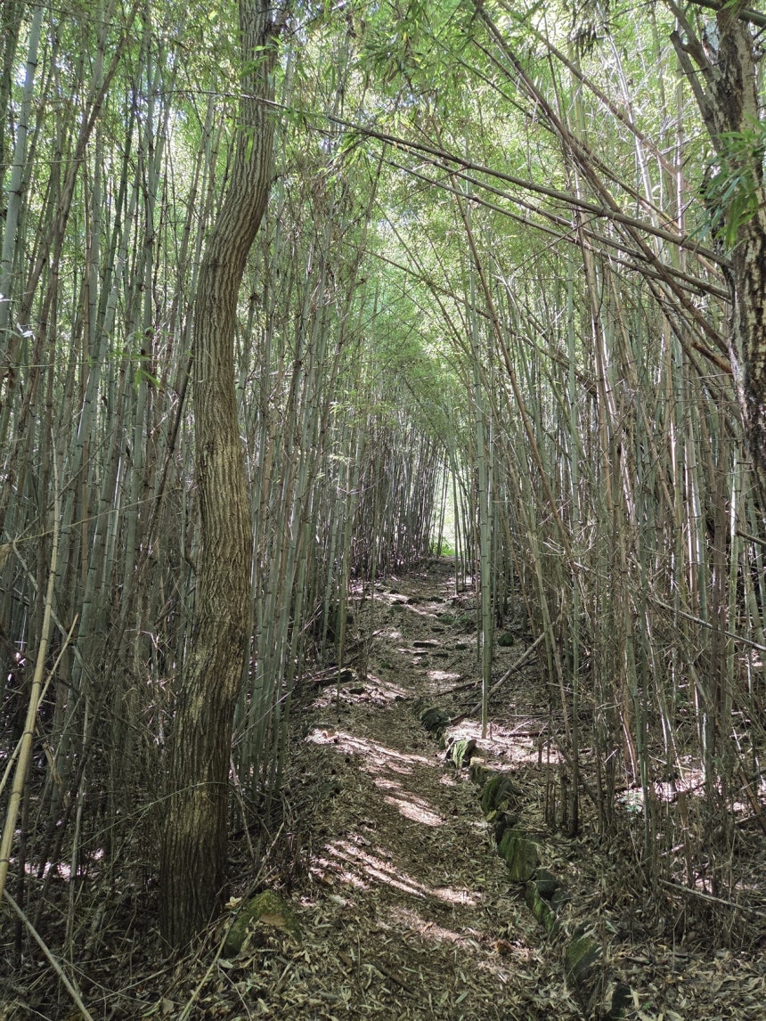 토토 경부선 교육의 중요성과 접근 방식: 최신 방법론 - 실용적인 접근법