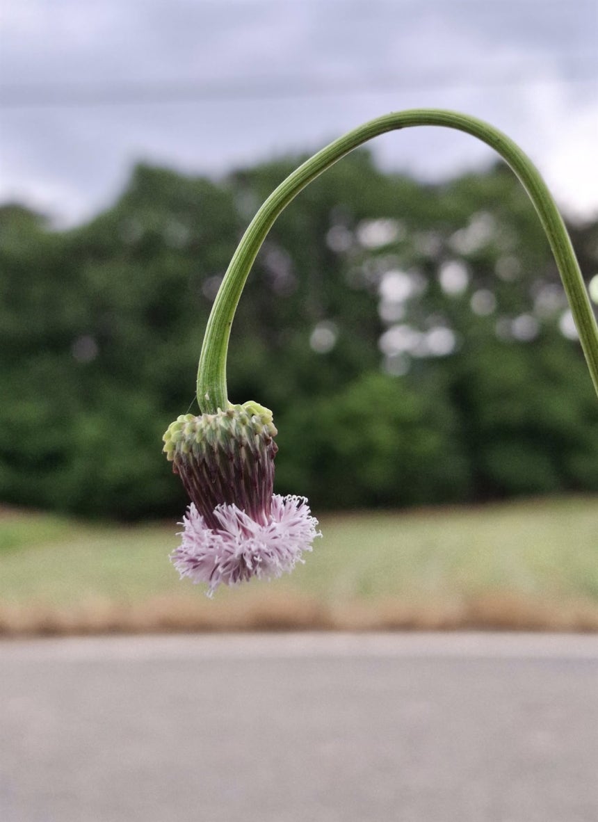블랙잭 의사 을 위한 필수 정보 및 팁 - 초보자도 쉽게 배울 수 있는