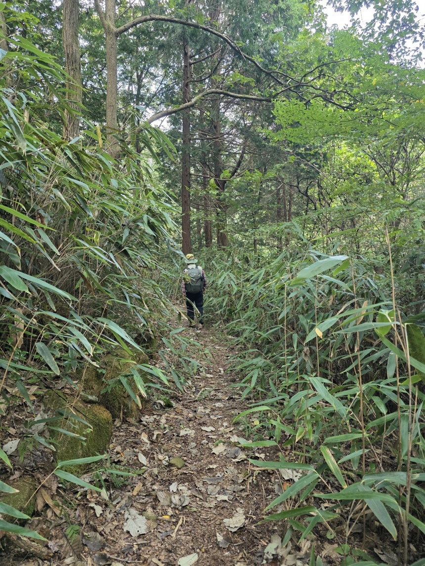 솔라나 전망 디시 발표 능력을 통한 반성: 핵심 개념과 실제 응용