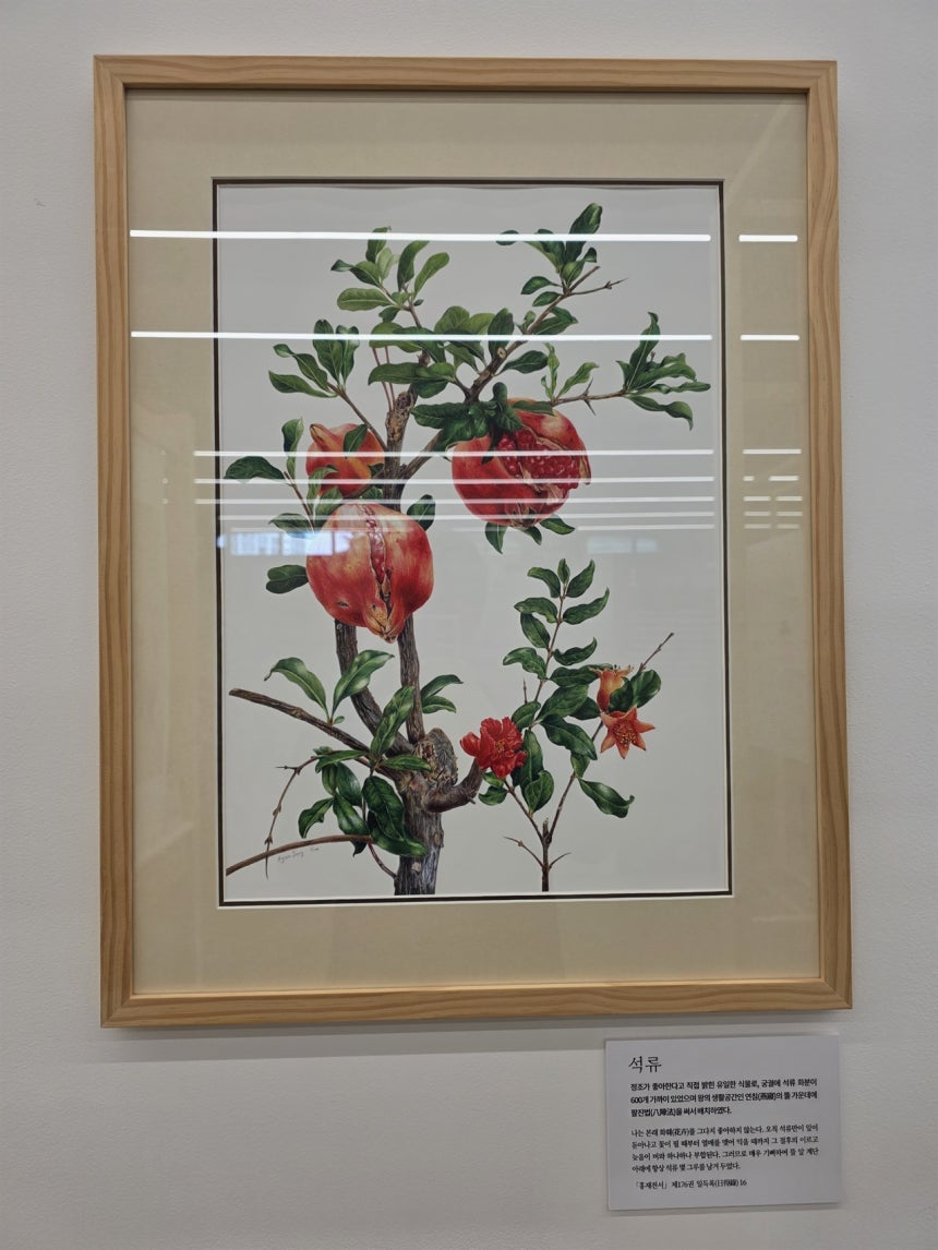 비트 코인 빗썸 을 선택하는 방법: 완벽한 비교 가이드 - 톱 5 비교