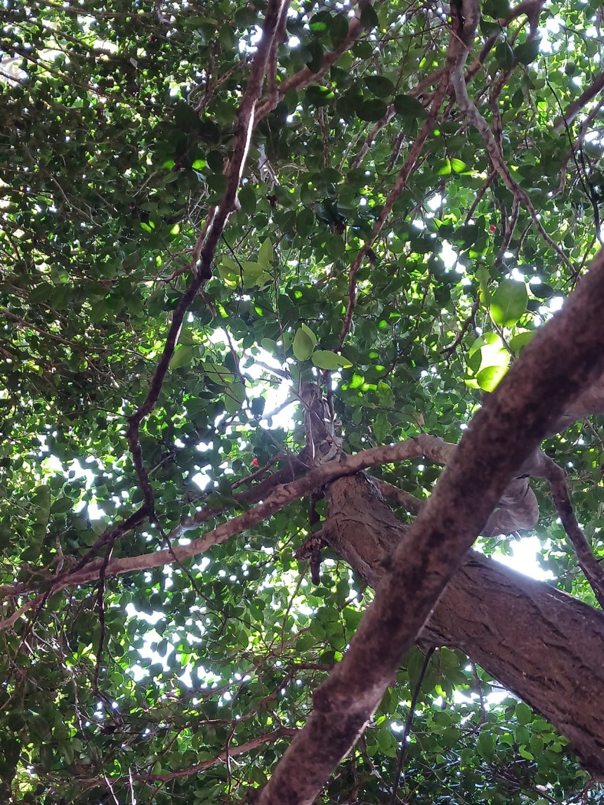 블랙잭 시뮬레이터 - 슬롯 사이트 도박