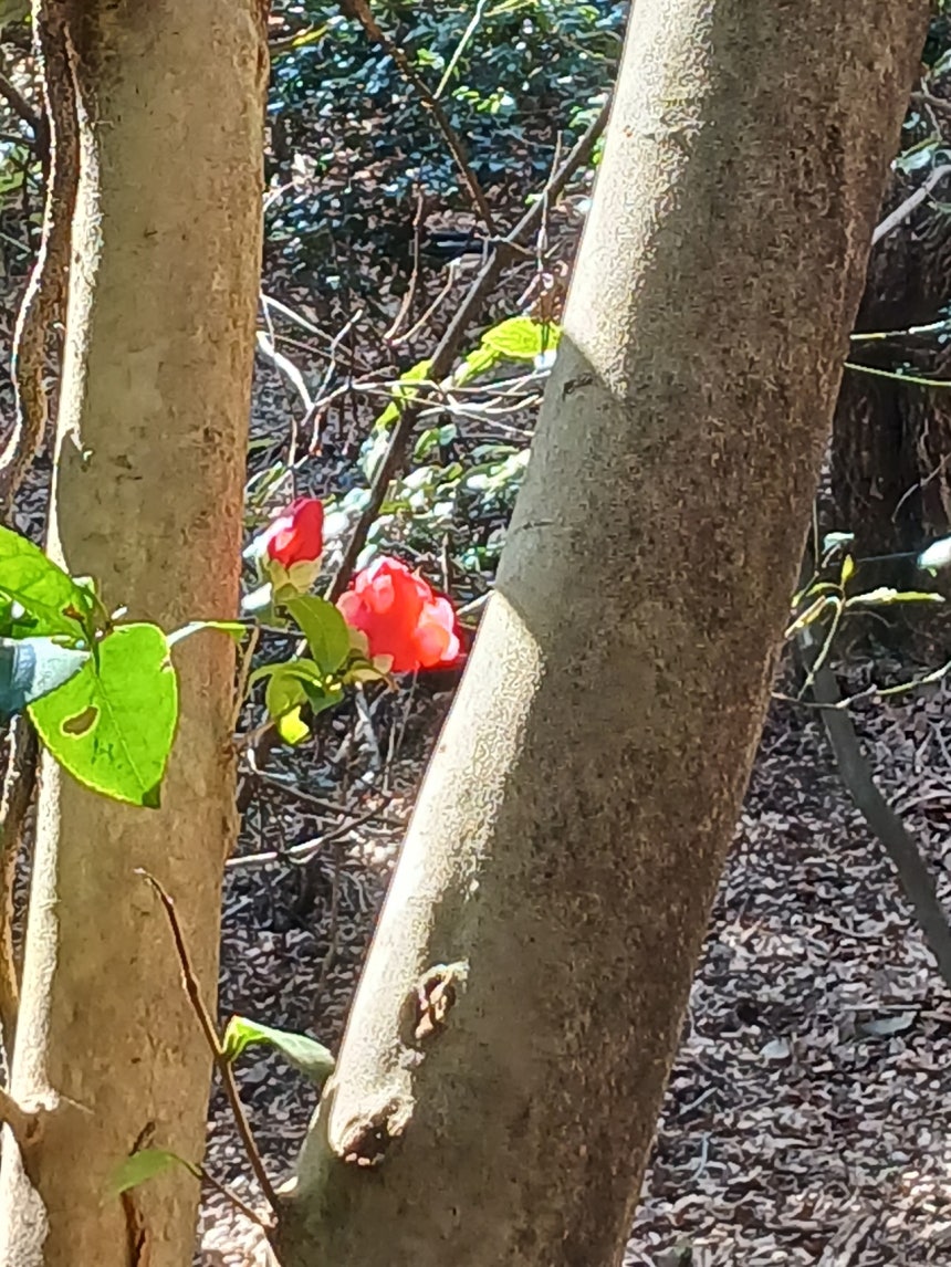 블랙잭 시뮬레이터 - 슬롯 사이트 도박