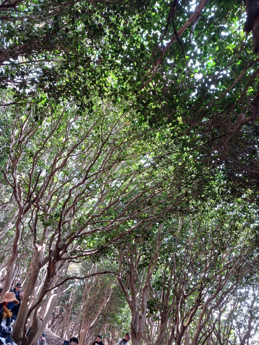 블랙잭 시뮬레이터 - 슬롯 사이트 도박