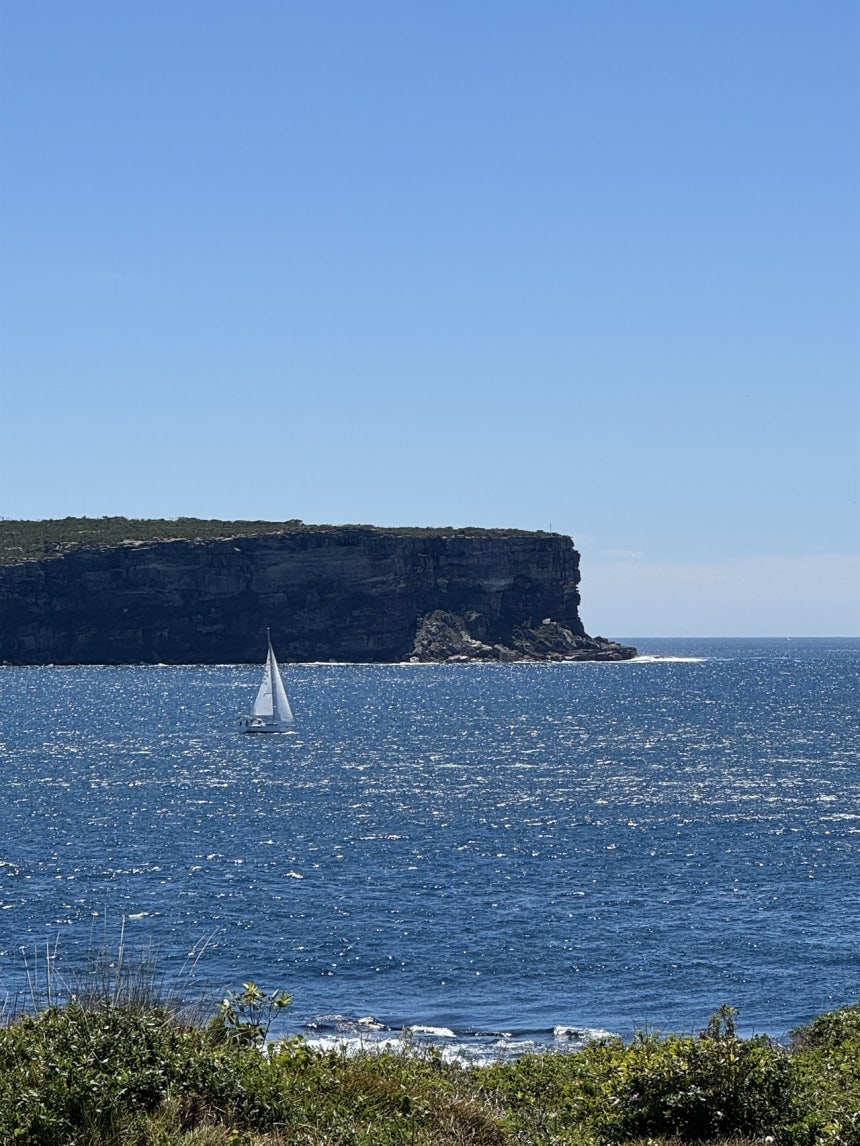 망치 카지노 에서 최고의 선택은?: 전문가들의 추천 - 실전 사례 분석