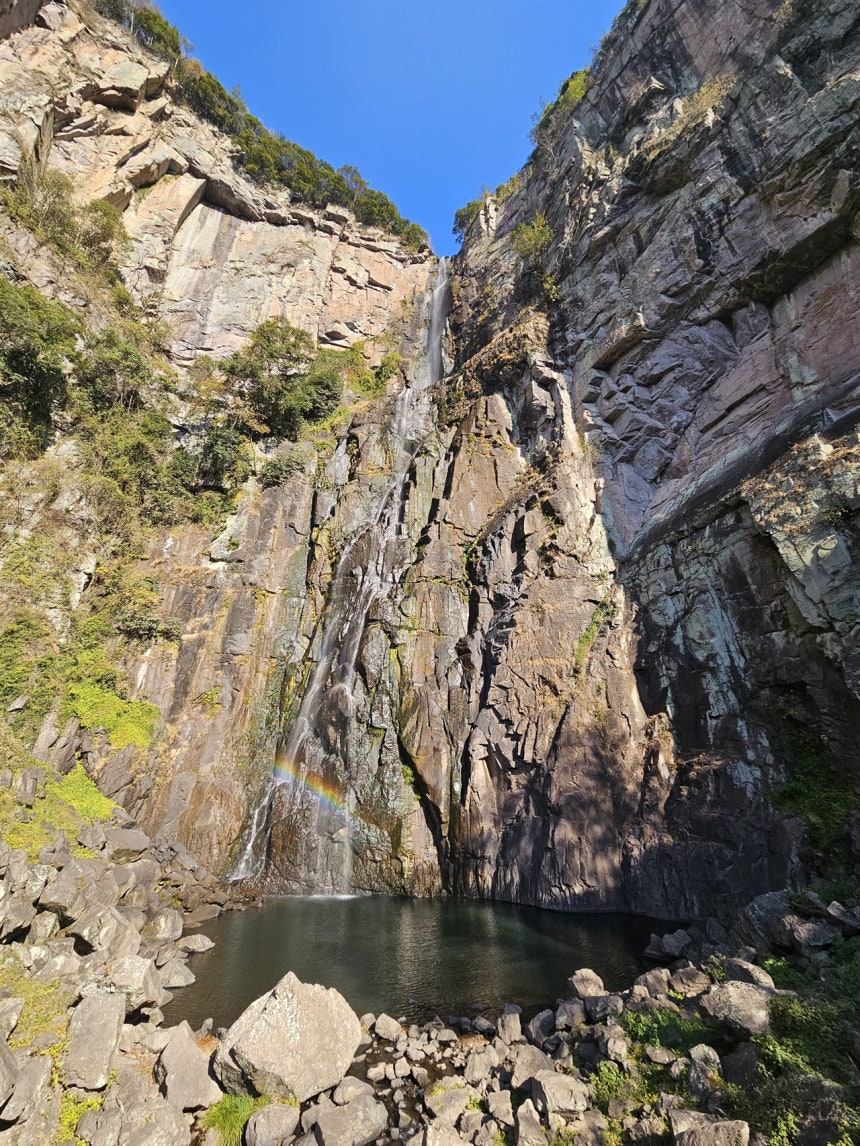 경마정보 마사회 에서 전문가가 되는 방법: 고급 전략과 기술 - 전문가의 관점에서