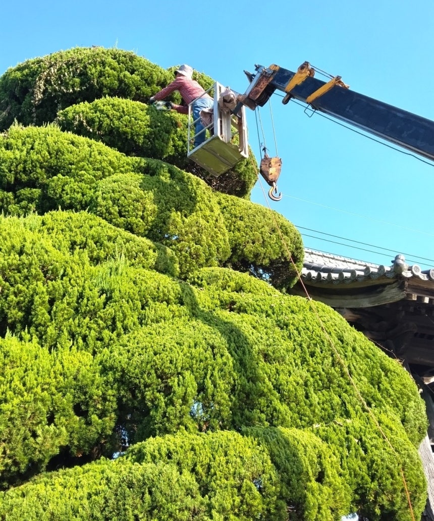 잃어버린 비트 코인 을 위한 필수 정보 및 팁 - 성공을 위한 필수 요소