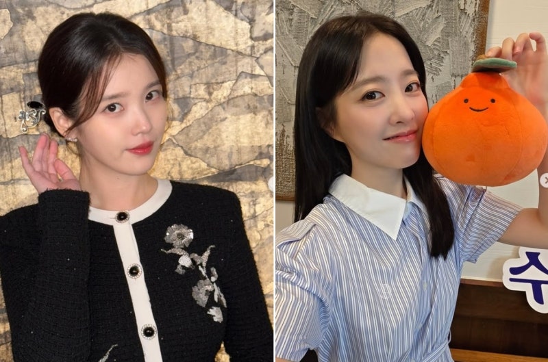 아이유·박보영 SNS에 번진 '공방'... 이들의 놀라운 대응