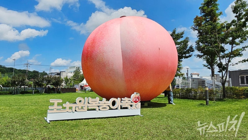 "시원하게 놀고 달콤하게 즐기고"… 세종 <b>조치원복숭아축제</b> 개막