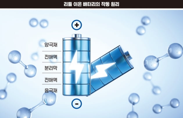 더메모리 이미지