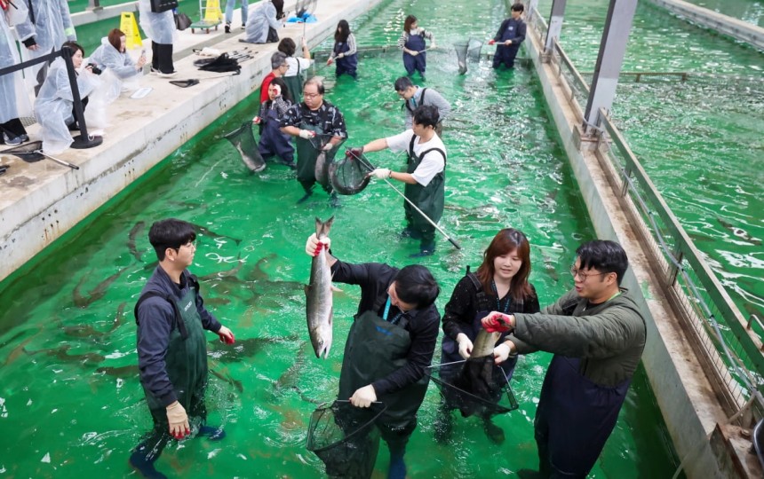 강원 양양군 한국수산자원공단 동해생명자원센터에서 외국인 의사들이 리쥬란 '연어주사'에 사용되는 연어를 살펴보고 있다. /이솔 기자