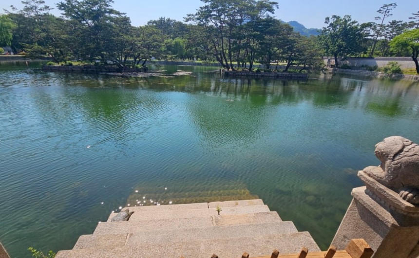 5월 30일 경복궁 경회루에 등장한 자라. 사진=경복궁 X