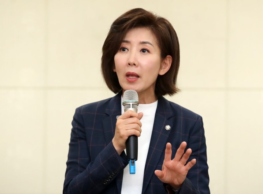 나경원 의원.  사진=뉴스1