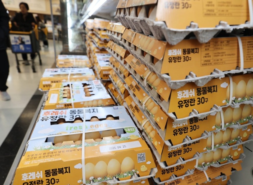 사진=연합뉴스
